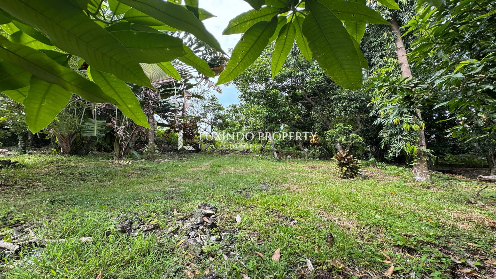 PADONAN - RIVERFRONT LAND FOR SALE (FHL603X)